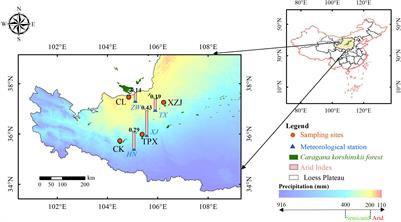 The Characteristics of Radial Growth and Ecological Response of Caragana korshinskii Kom. Under Different Precipitation Gradient in the Western Loess Plateau, China